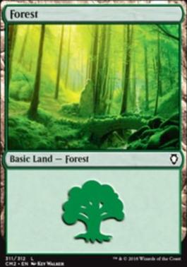 Forest