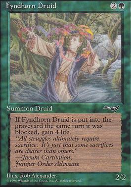 Fyndhorn Druid