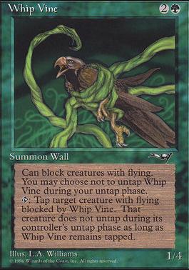 Whip Vine