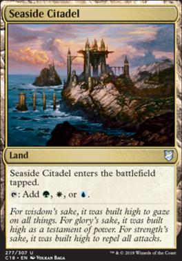 Seaside Citadel