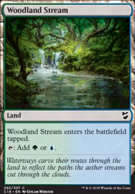 Woodland Stream