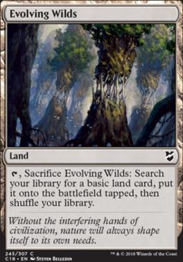 Evolving Wilds