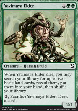Yavimaya Elder
