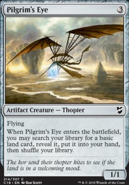 Pilgrim's Eye