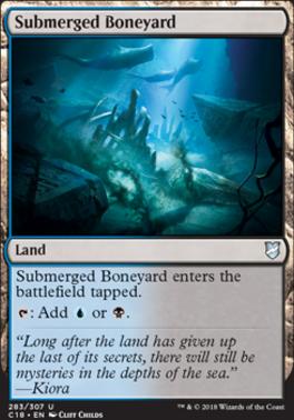 Submerged Boneyard