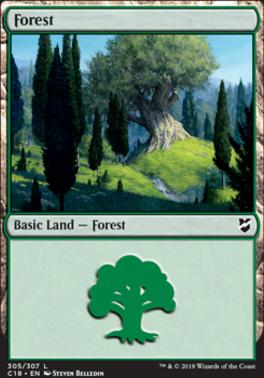 Forest