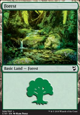 Forest
