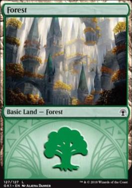 Forest