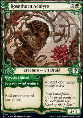 Rosethorn Acolyte