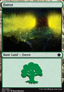 Forest