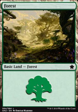 Forest