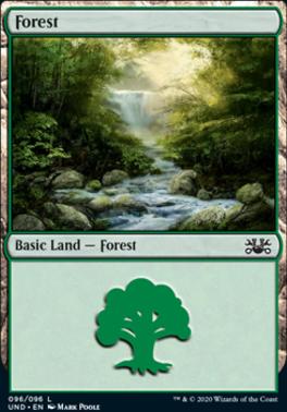 Forest