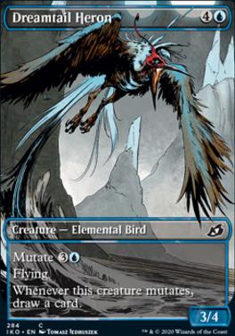 Dreamtail Heron