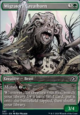 Migratory Greathorn