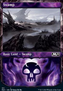 Swamp