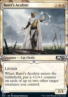 Basri's Acolyte