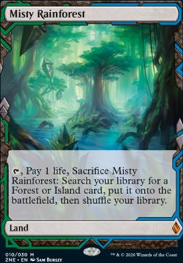 Misty Rainforest