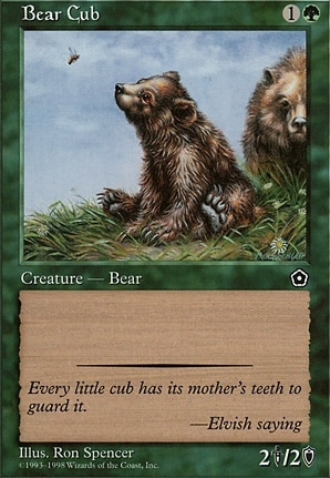 Bear Cub