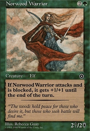 Norwood Warrior