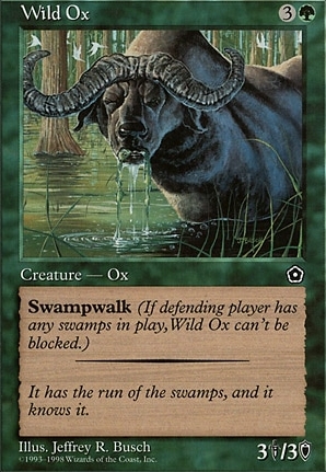 Wild Ox