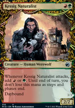 Kessig Naturalist