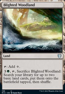 Blighted Woodland