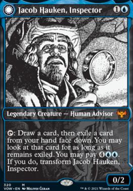 Jacob Hauken, Inspector