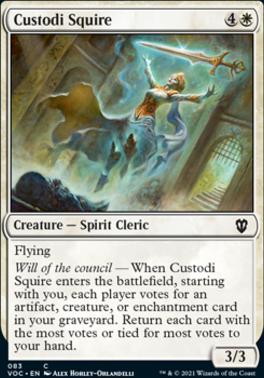 Custodi Squire