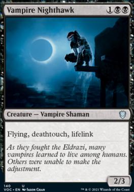 Vampire Nighthawk