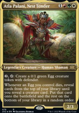 Atla Palani, Nest Tender