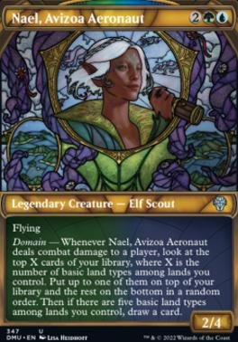 Nael, Avizoa Aeronaut