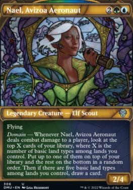 Nael, Avizoa Aeronaut