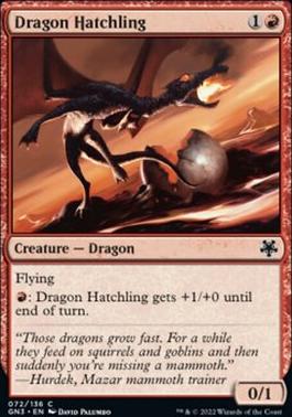 Dragon Hatchling