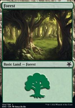 Forest