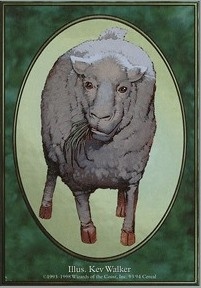 Sheep Token
