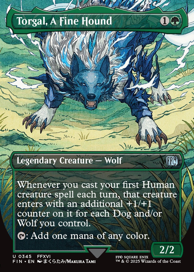 Torgal, A Fine Hound