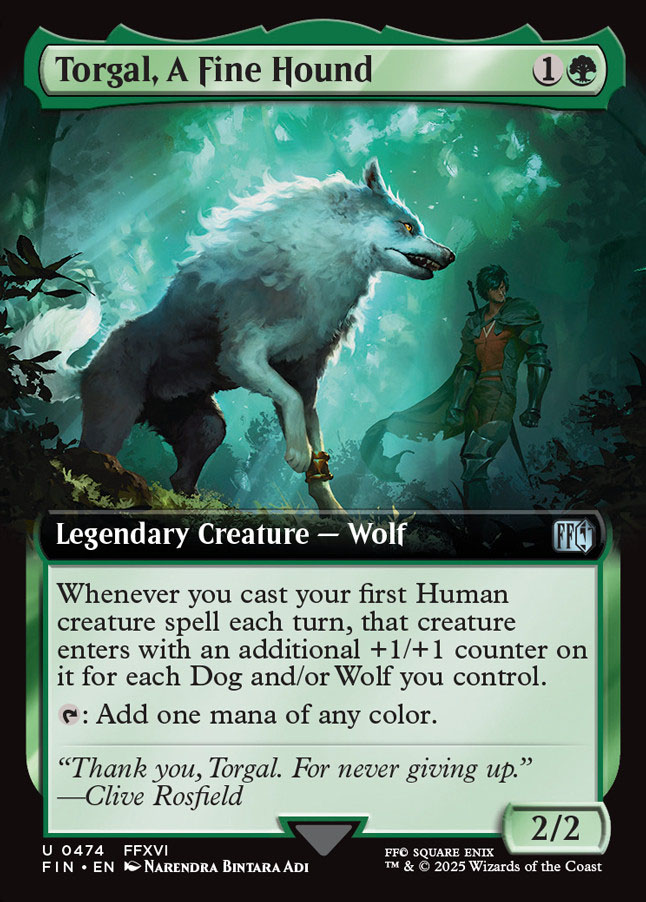 Torgal, A Fine Hound