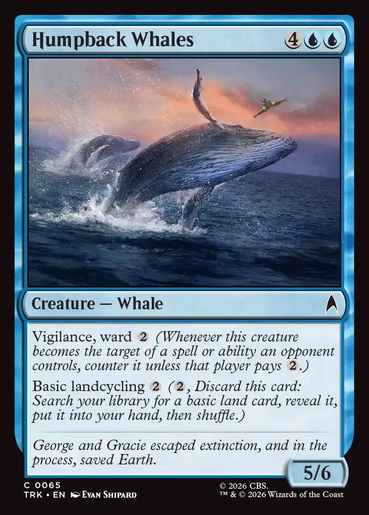 Humpback Whales