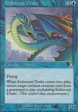 Iridescent Drake