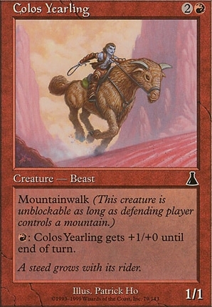 Colos Yearling