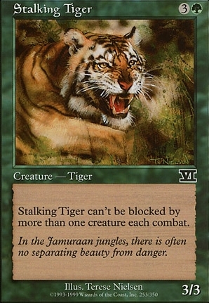 Stalking Tiger