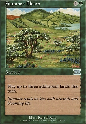 Summer Bloom
