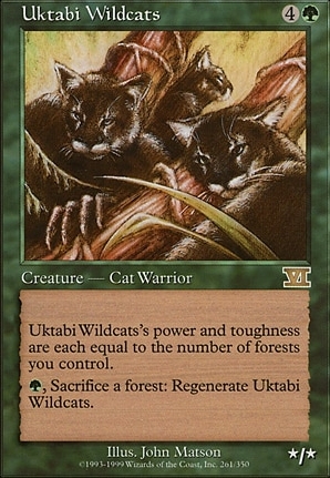 Uktabi Wildcats