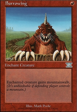 Burrowing