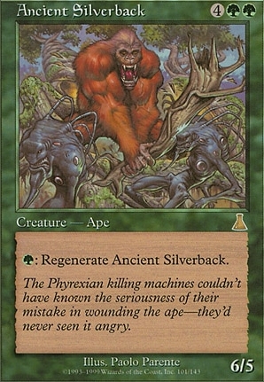 Ancient Silverback