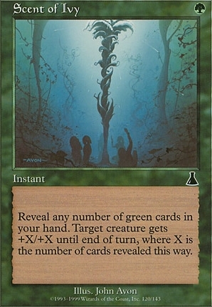 Scent of Ivy