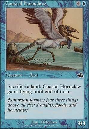 Coastal Hornclaw