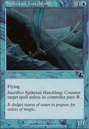 Spiketail Hatchling