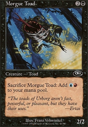 Morgue Toad
