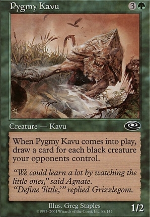 Pygmy Kavu